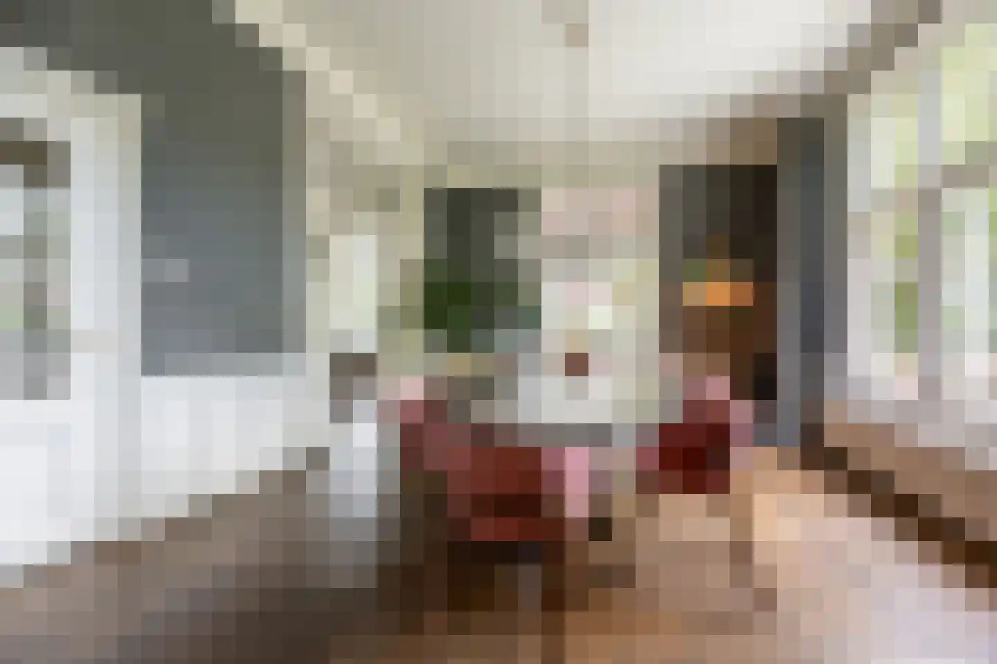 Linnaeuslaan 4 Haarlem thumbnail 14