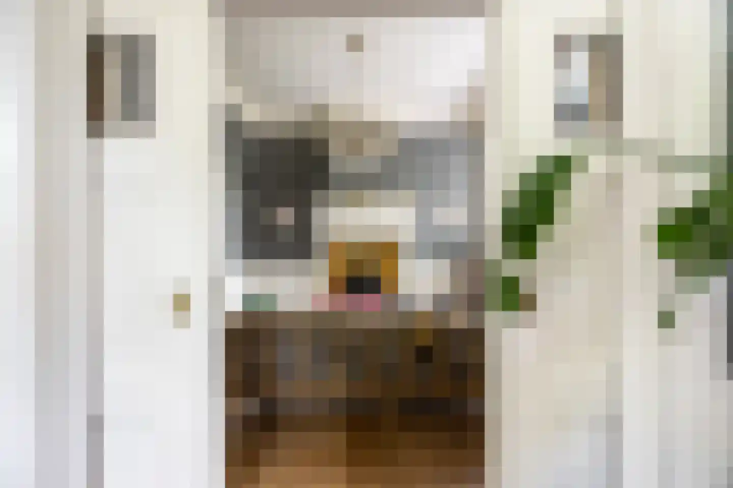 Linnaeuslaan 4 Haarlem thumbnail 15