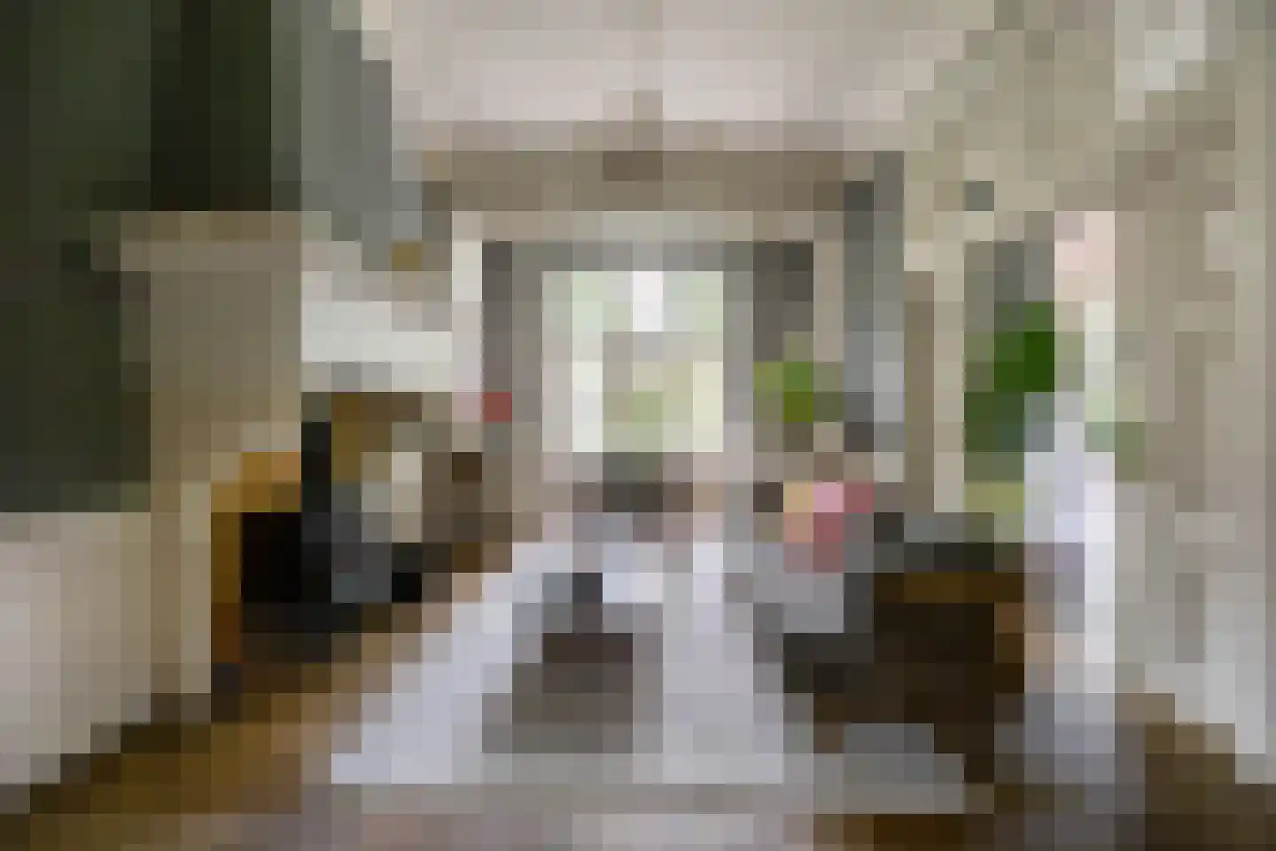 Linnaeuslaan 4 Haarlem thumbnail 16