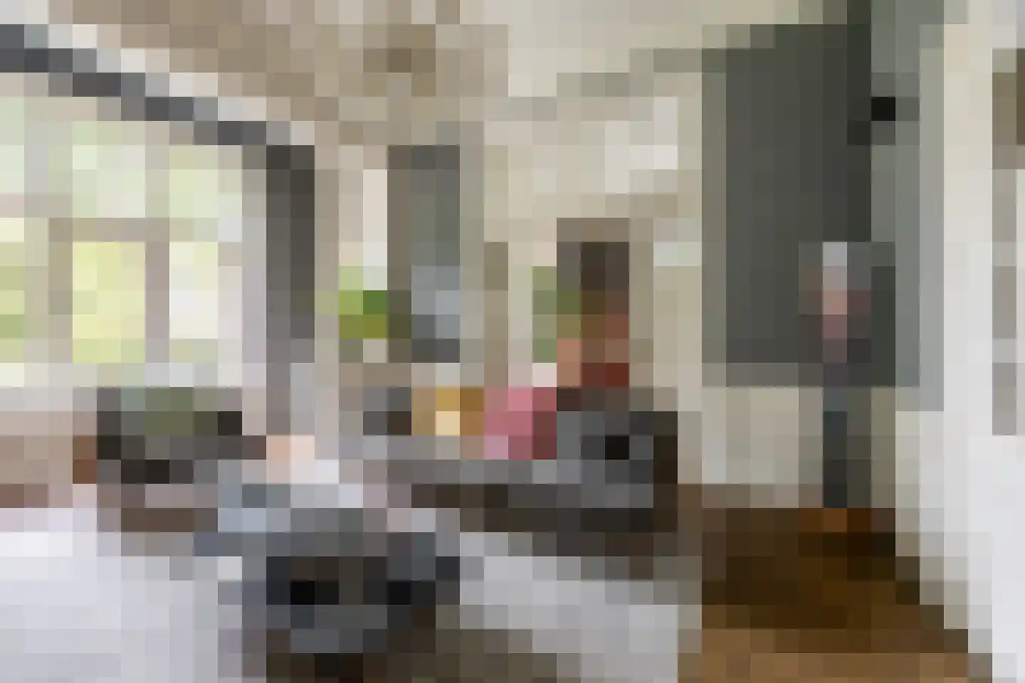 Linnaeuslaan 4 Haarlem thumbnail 17