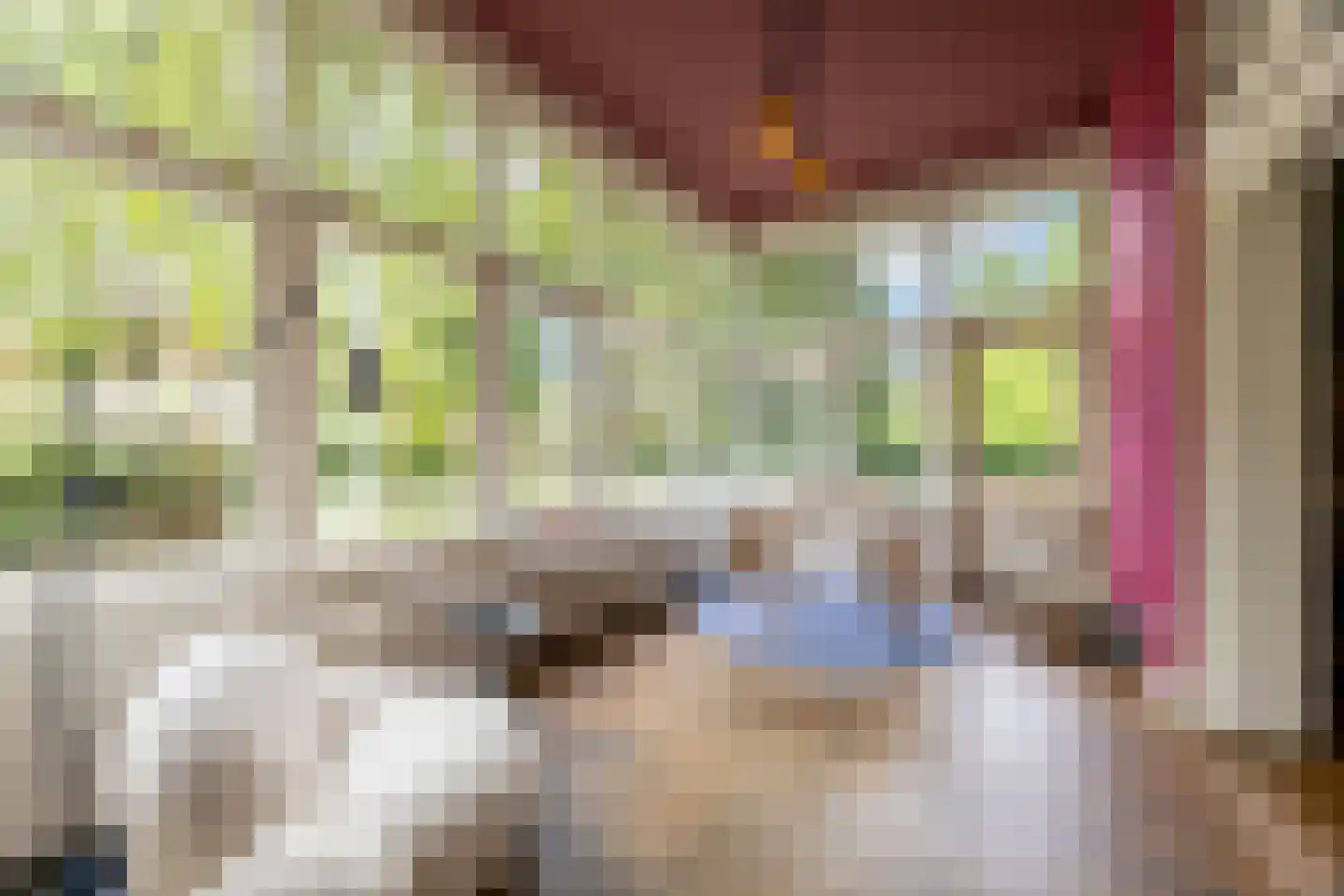 Linnaeuslaan 4 Haarlem thumbnail 19