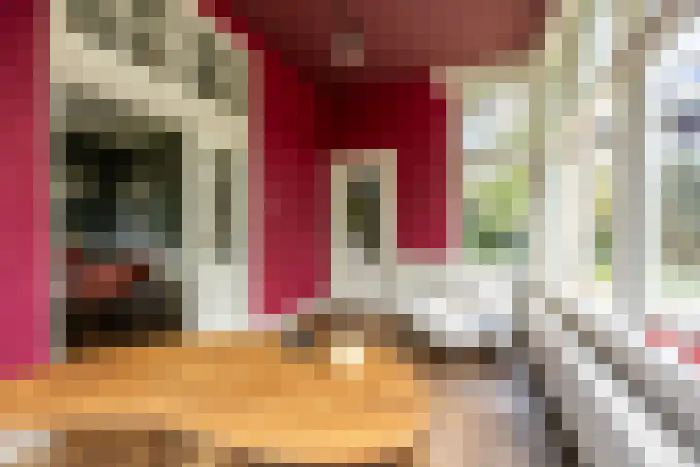 Linnaeuslaan 4 Haarlem thumbnail 21