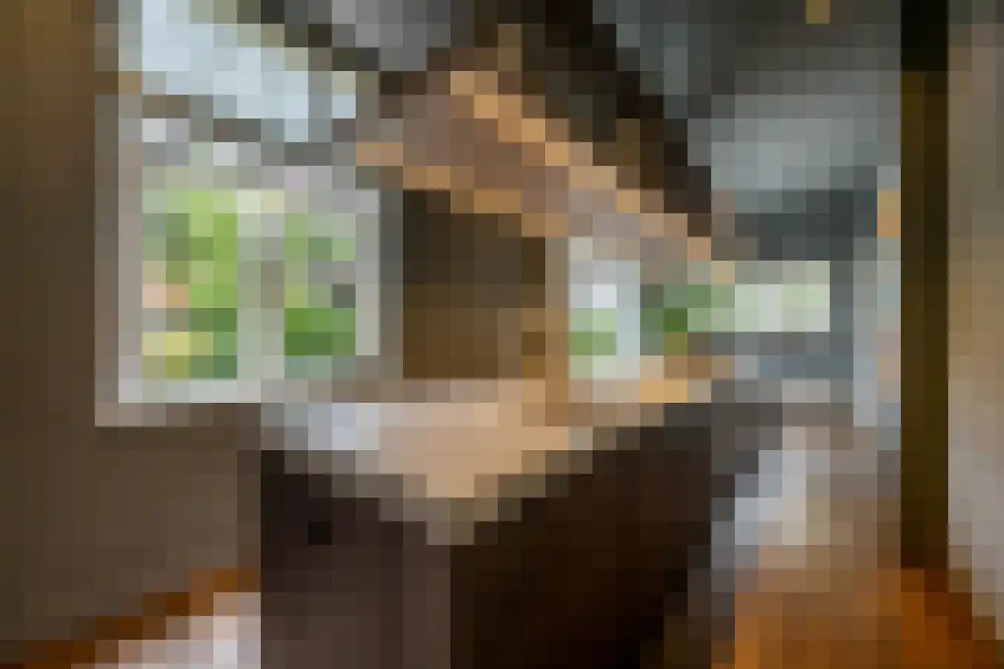 Linnaeuslaan 4 Haarlem thumbnail 22