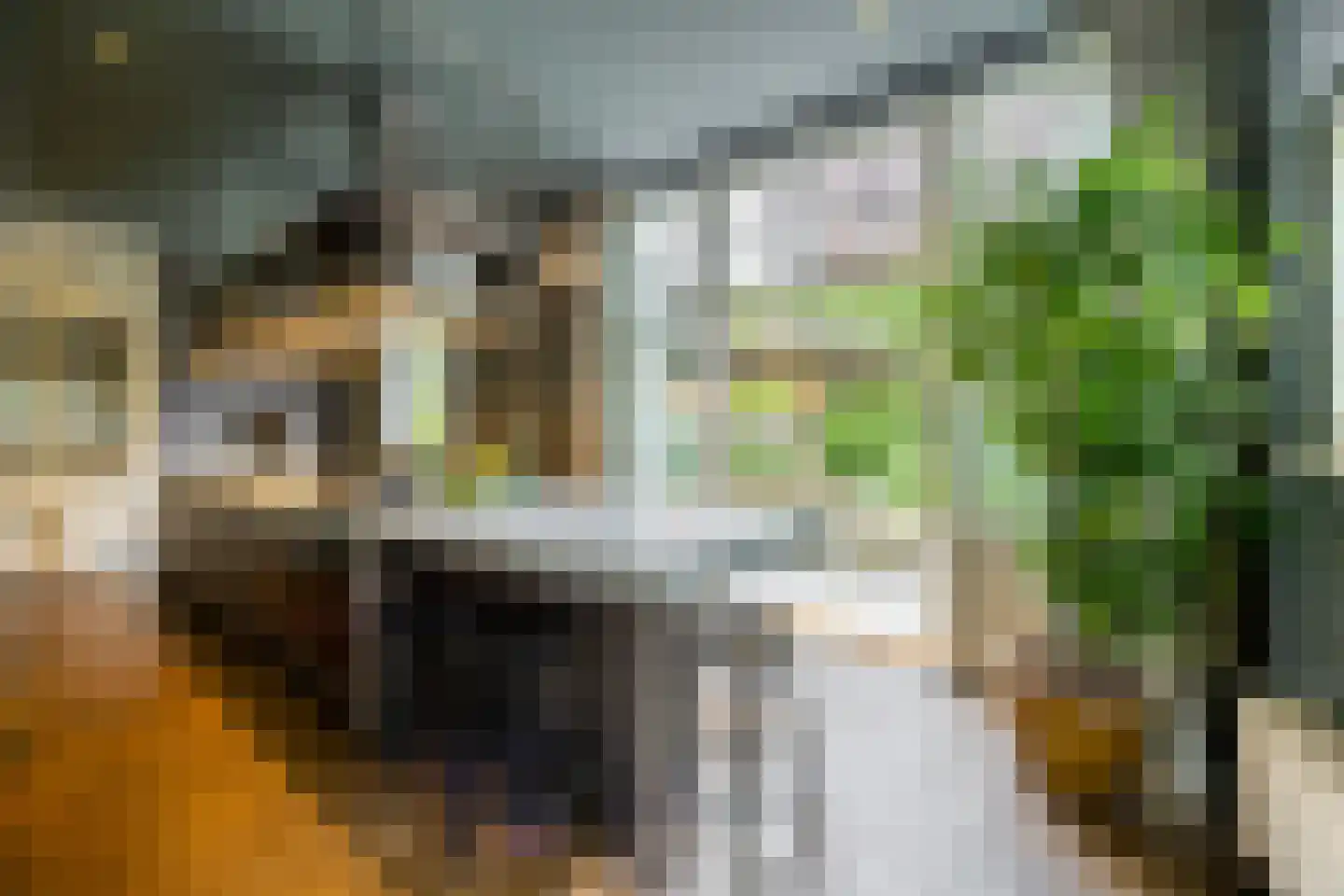 Linnaeuslaan 4 Haarlem thumbnail 23
