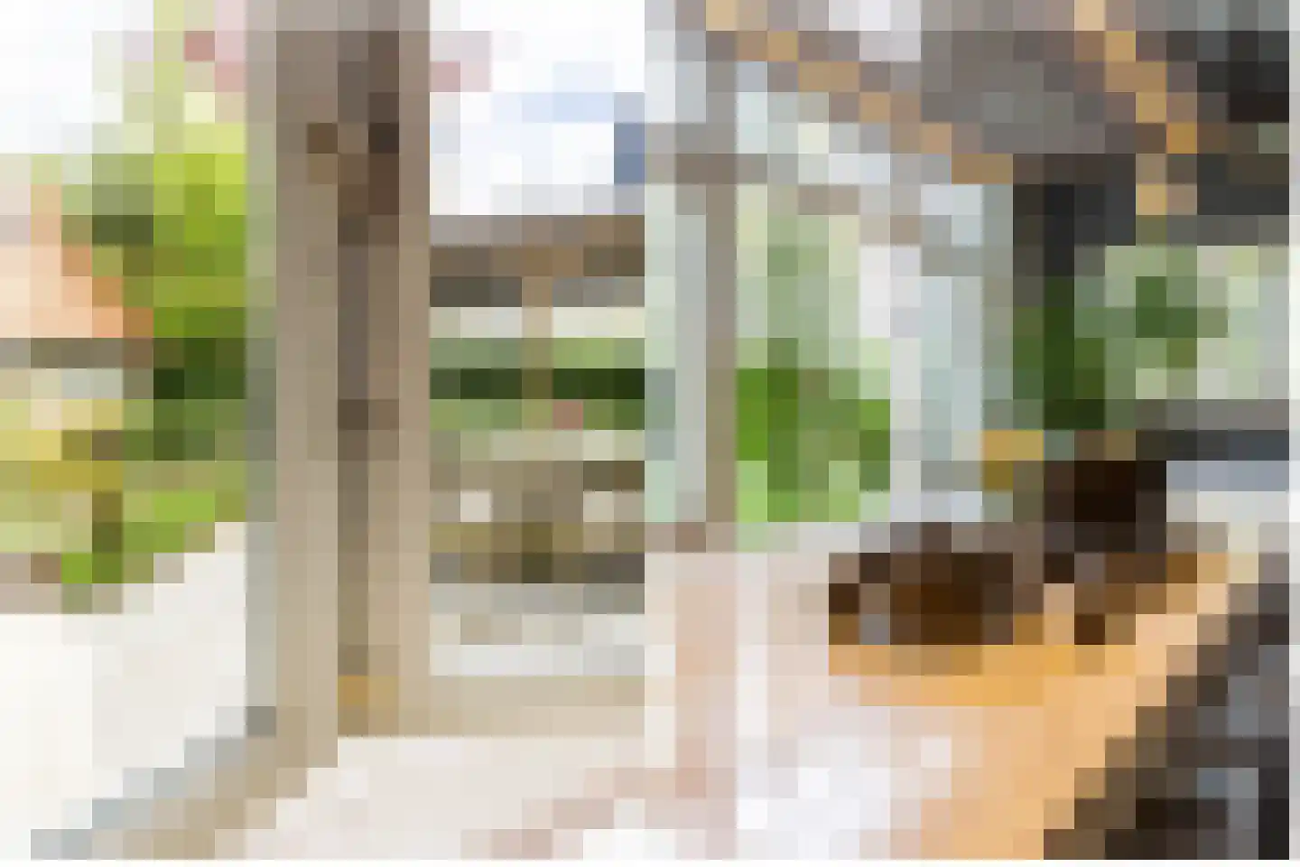 Linnaeuslaan 4 Haarlem thumbnail 25