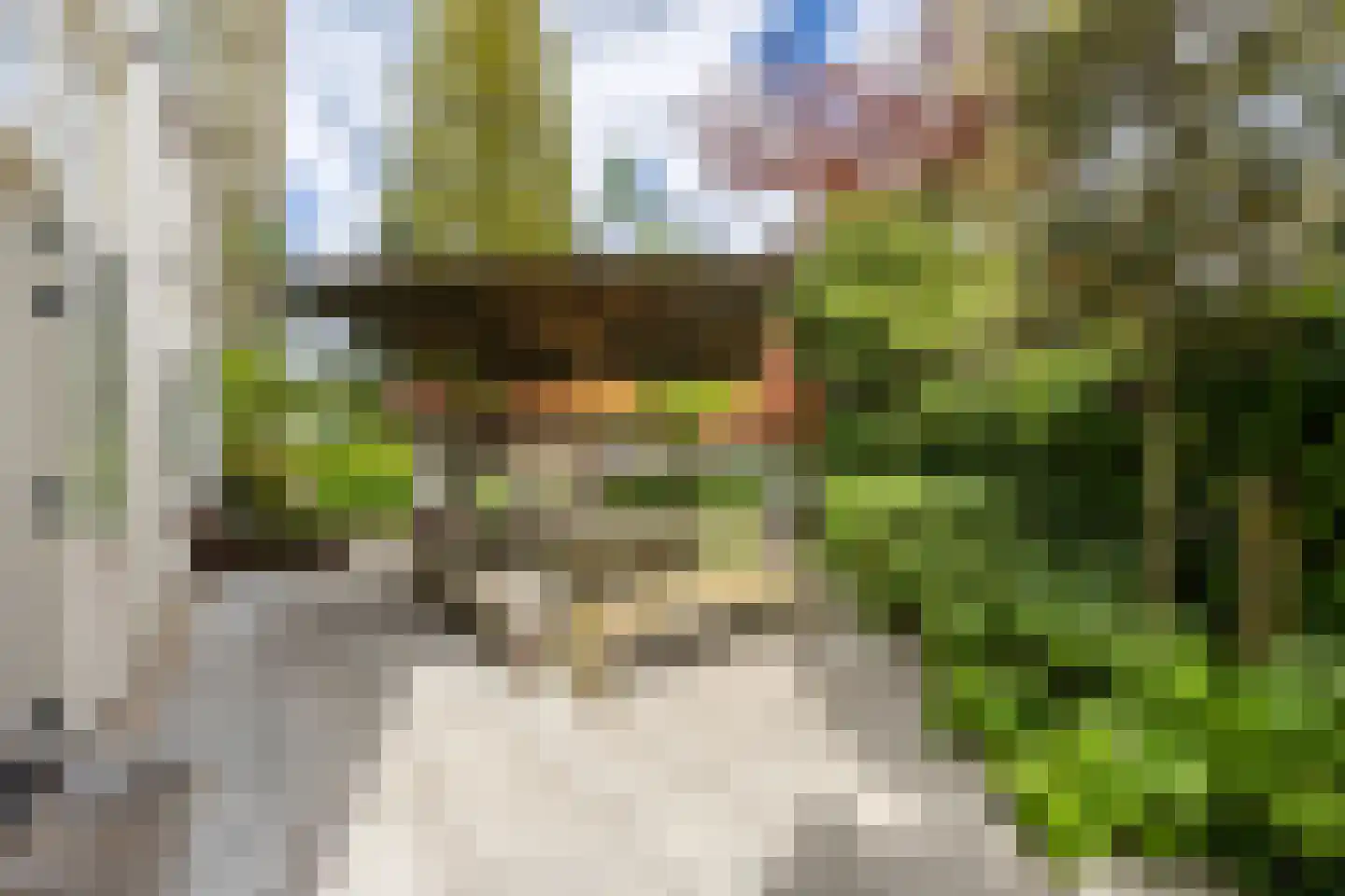 Linnaeuslaan 4 Haarlem thumbnail 26