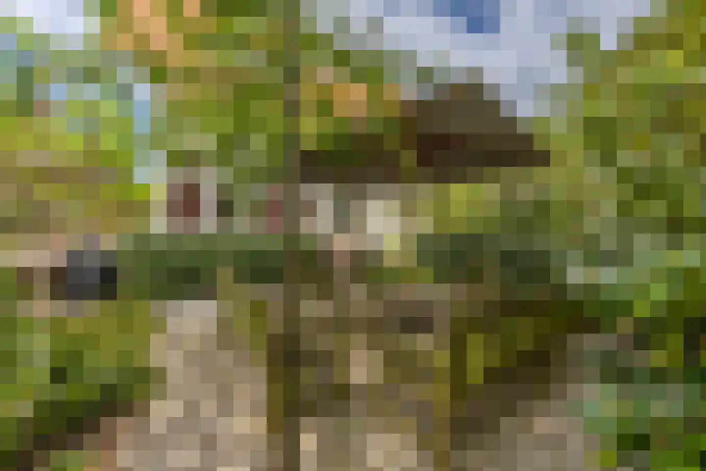 Linnaeuslaan 4 Haarlem thumbnail 28