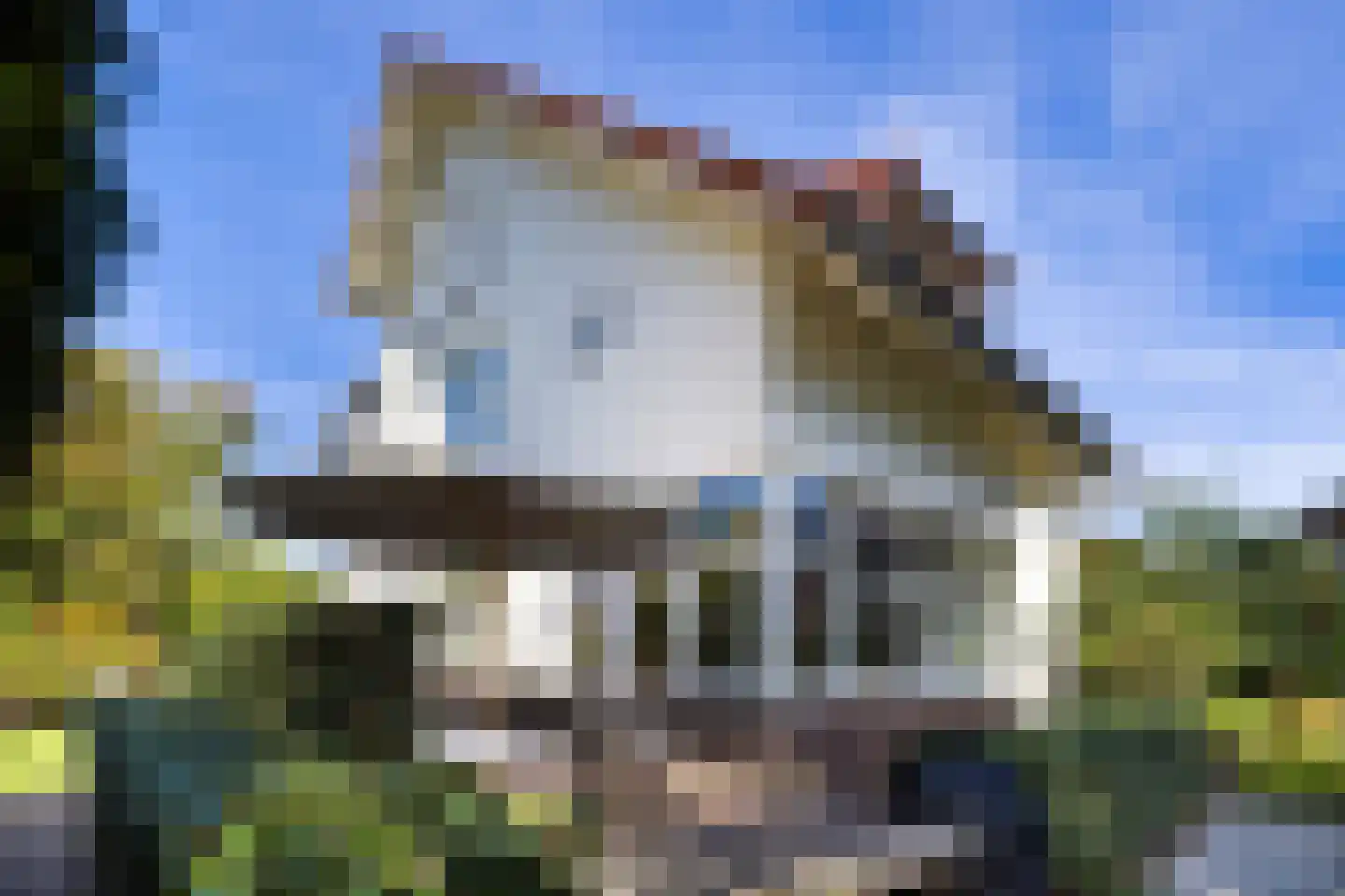 Linnaeuslaan 4 Haarlem thumbnail 29