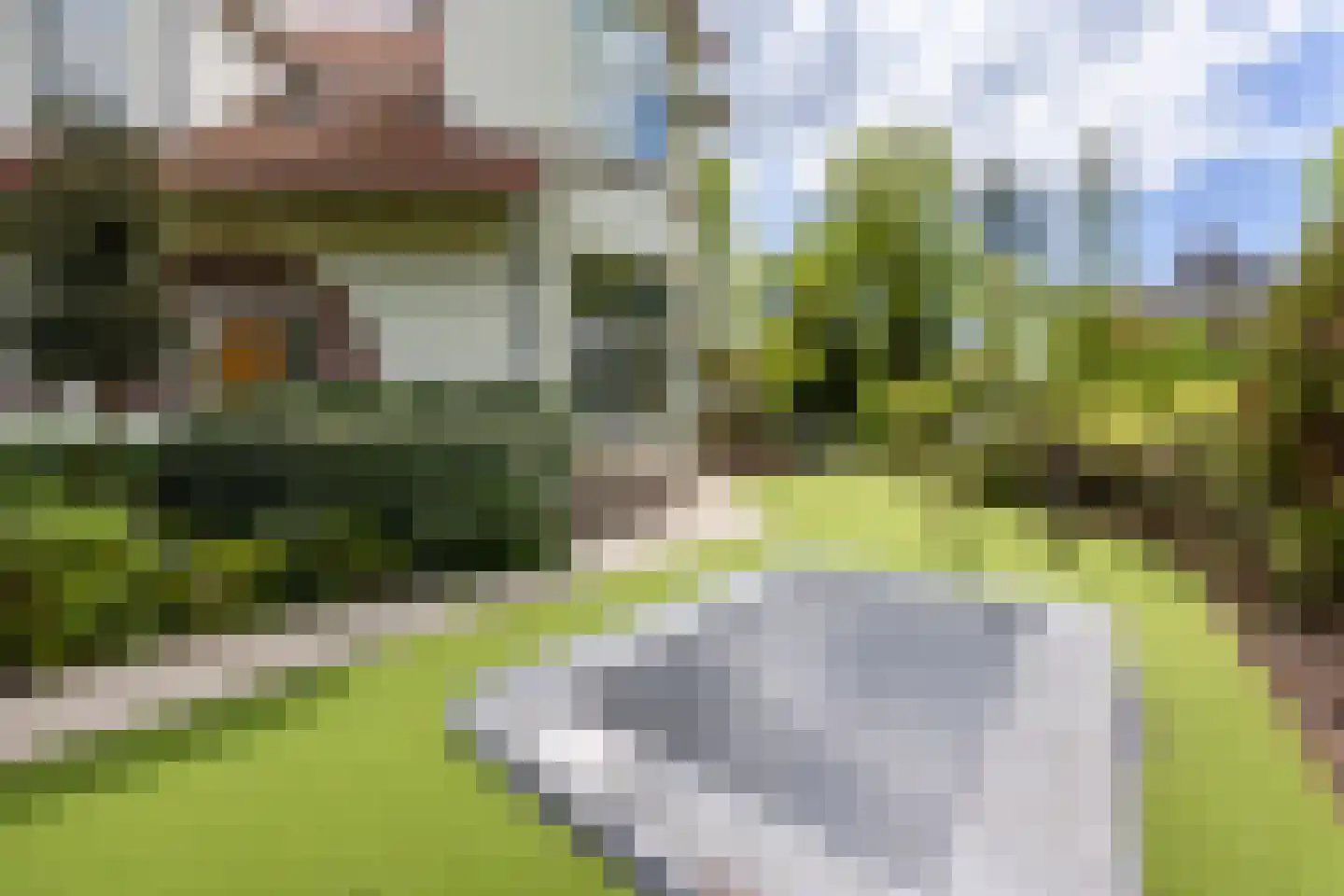 Linnaeuslaan 4 Haarlem thumbnail 30