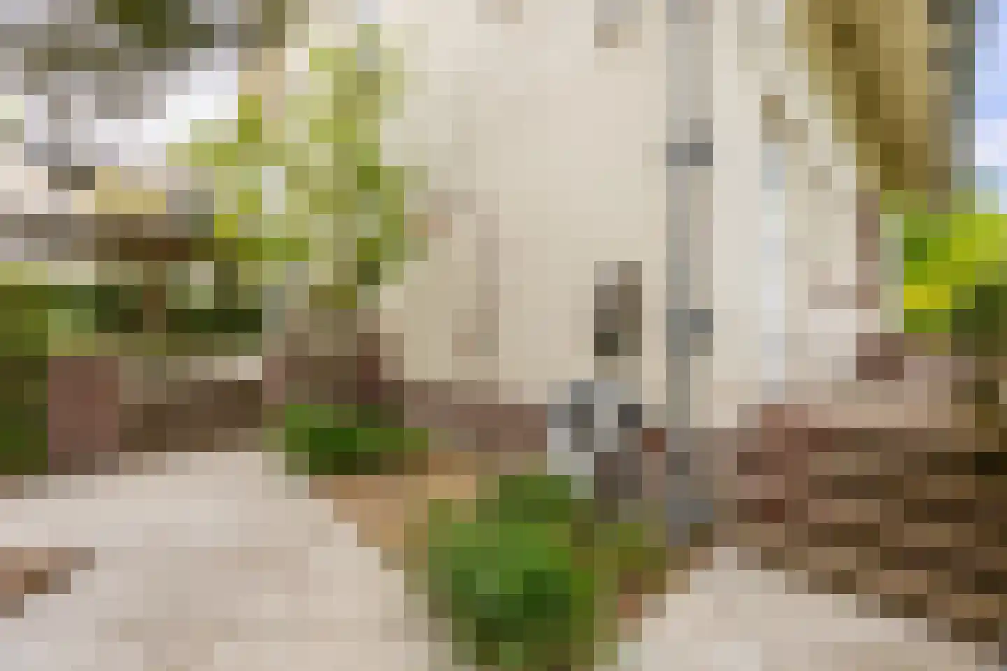 Linnaeuslaan 4 Haarlem thumbnail 32