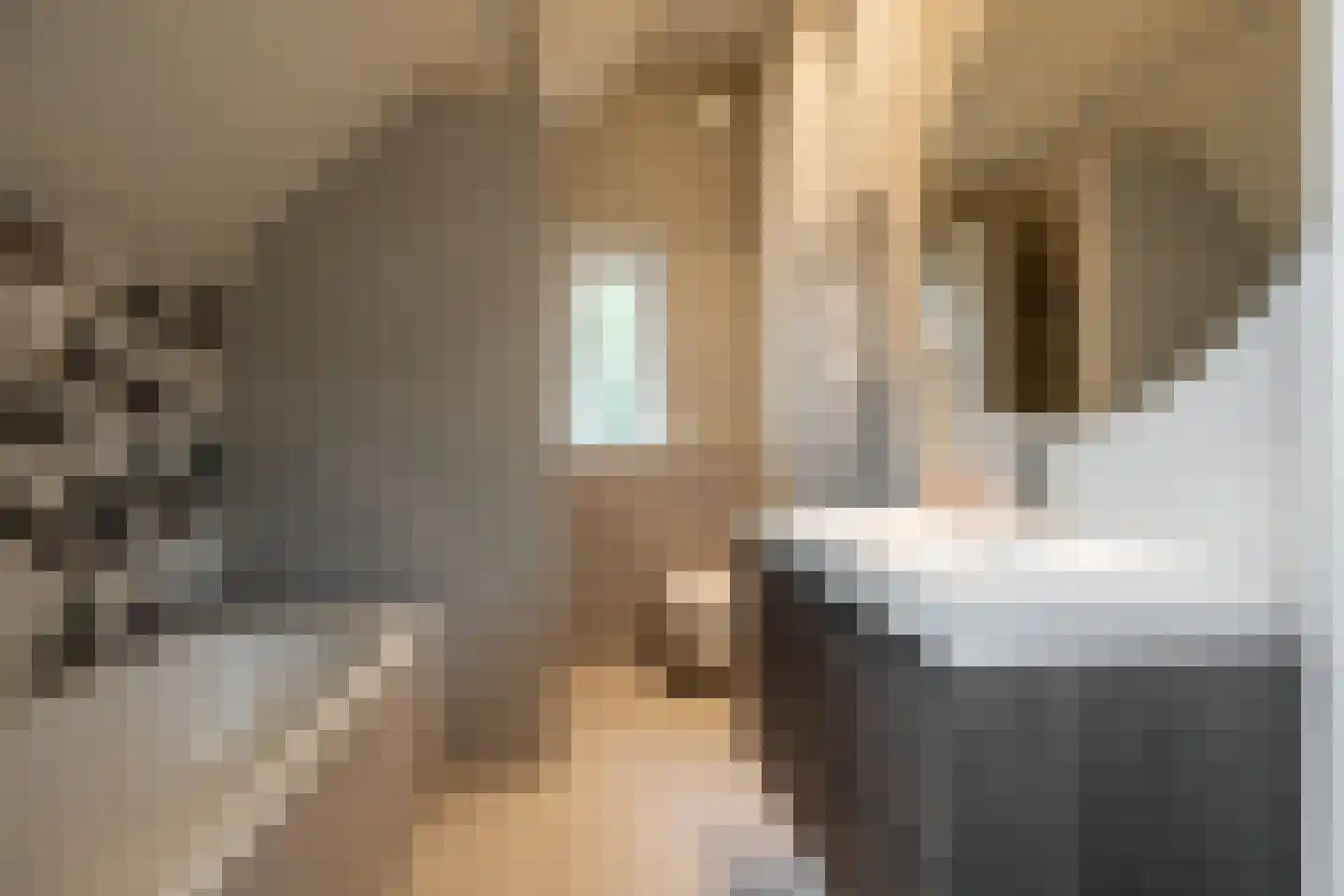 Linnaeuslaan 4 Haarlem thumbnail 35