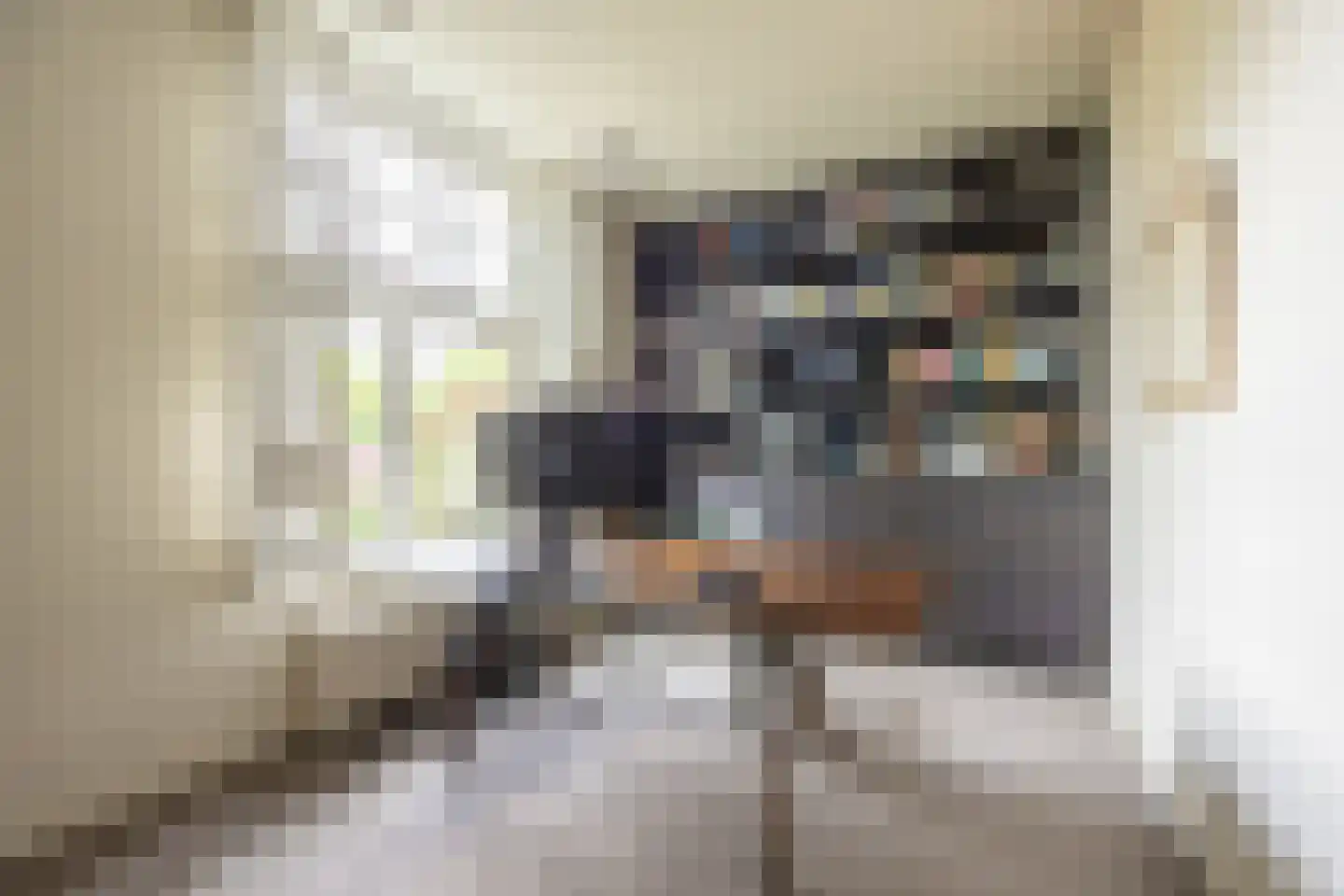 Linnaeuslaan 4 Haarlem thumbnail 37