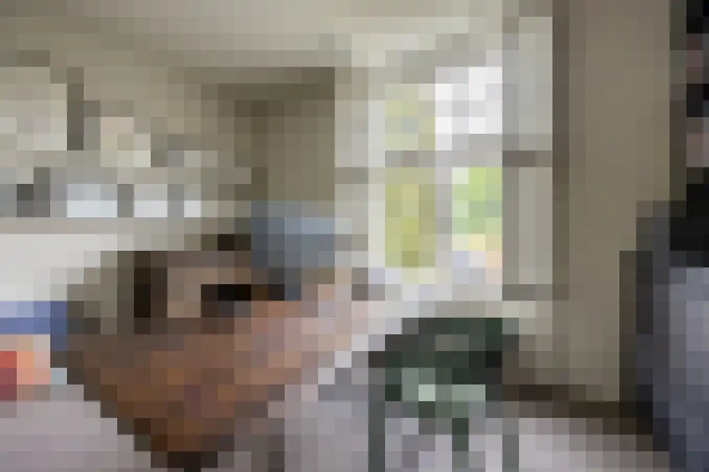 Linnaeuslaan 4 Haarlem thumbnail 38