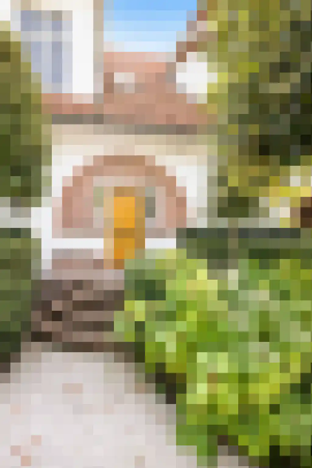 Linnaeuslaan 4 Haarlem thumbnail 4