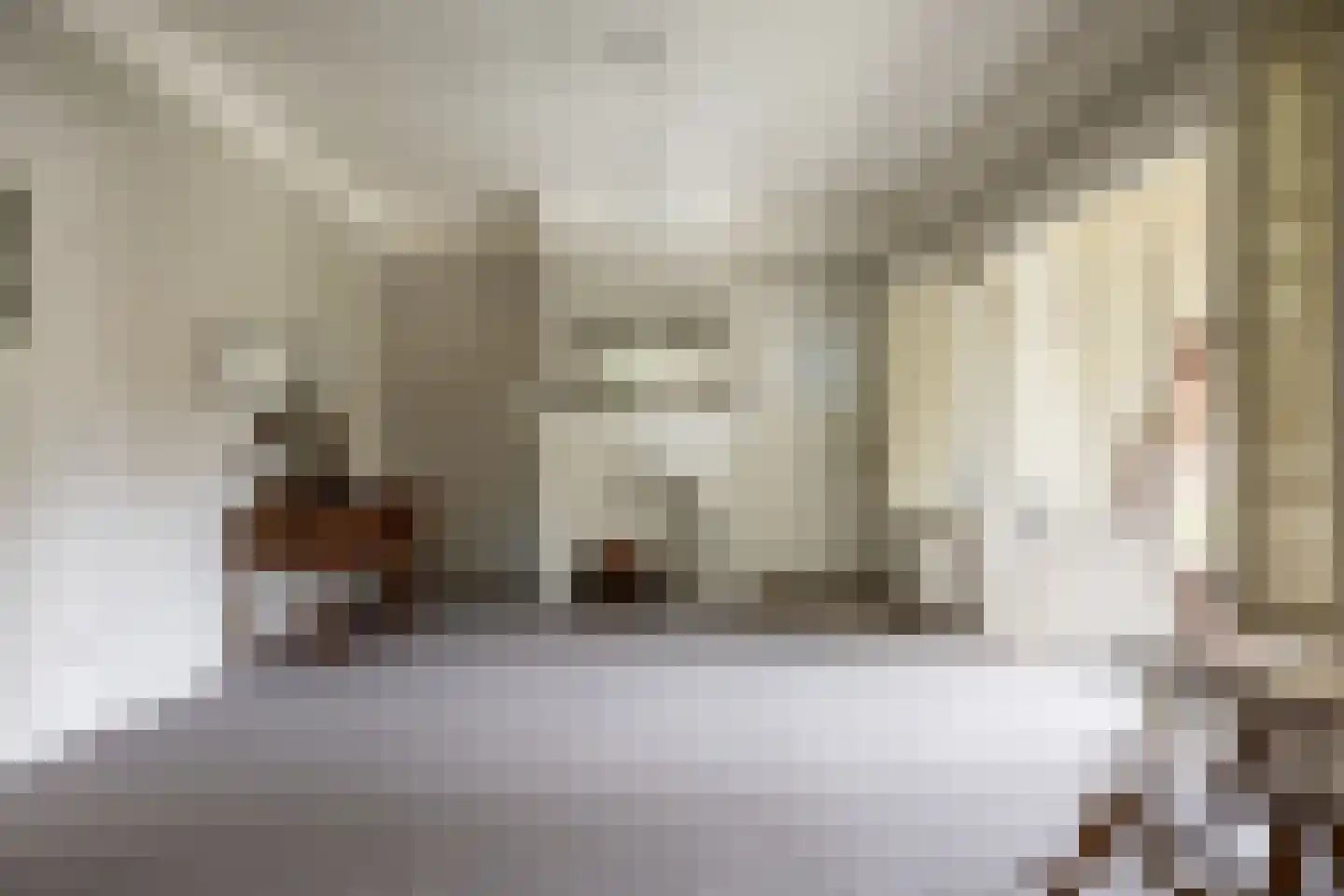Linnaeuslaan 4 Haarlem thumbnail 40