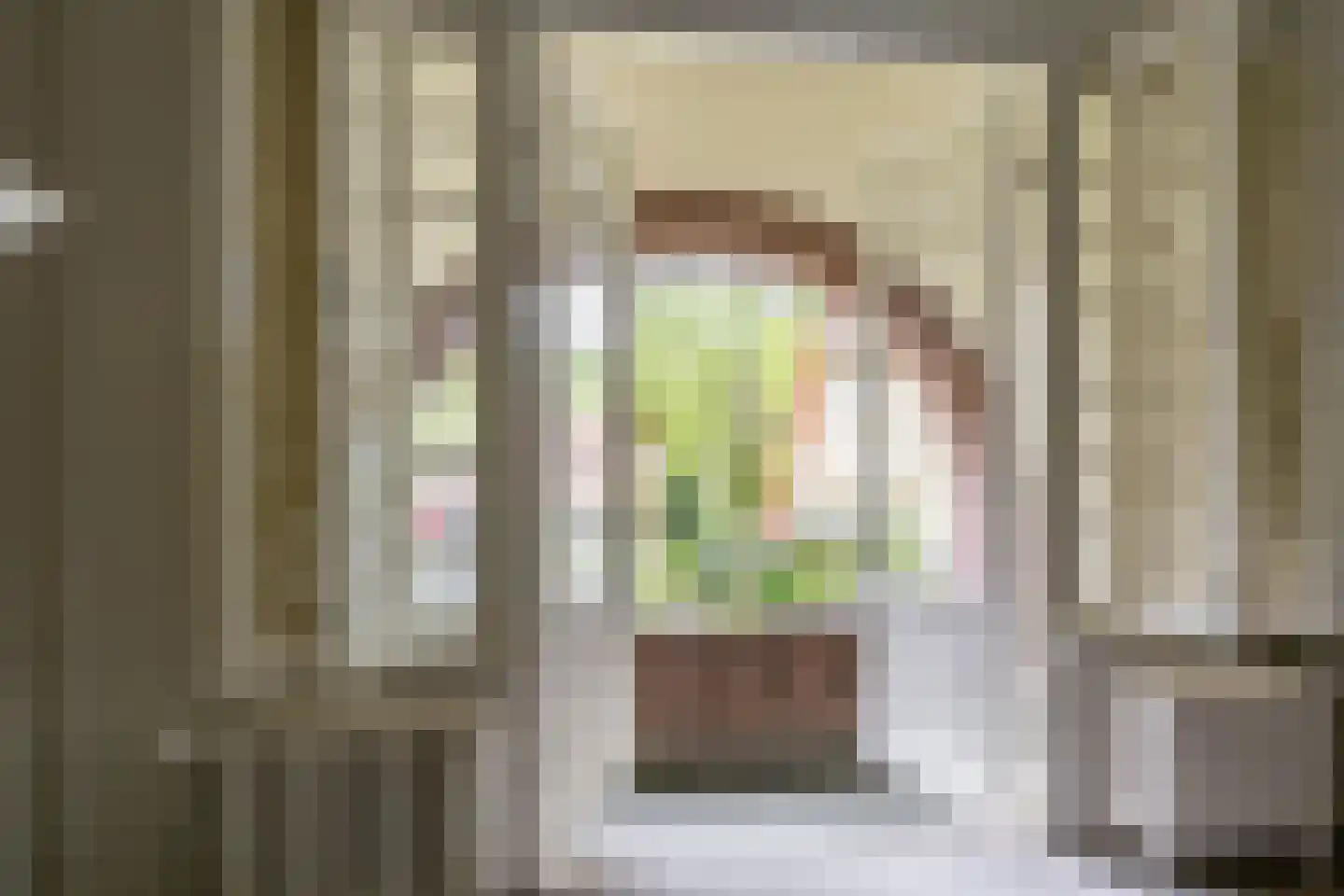 Linnaeuslaan 4 Haarlem thumbnail 41