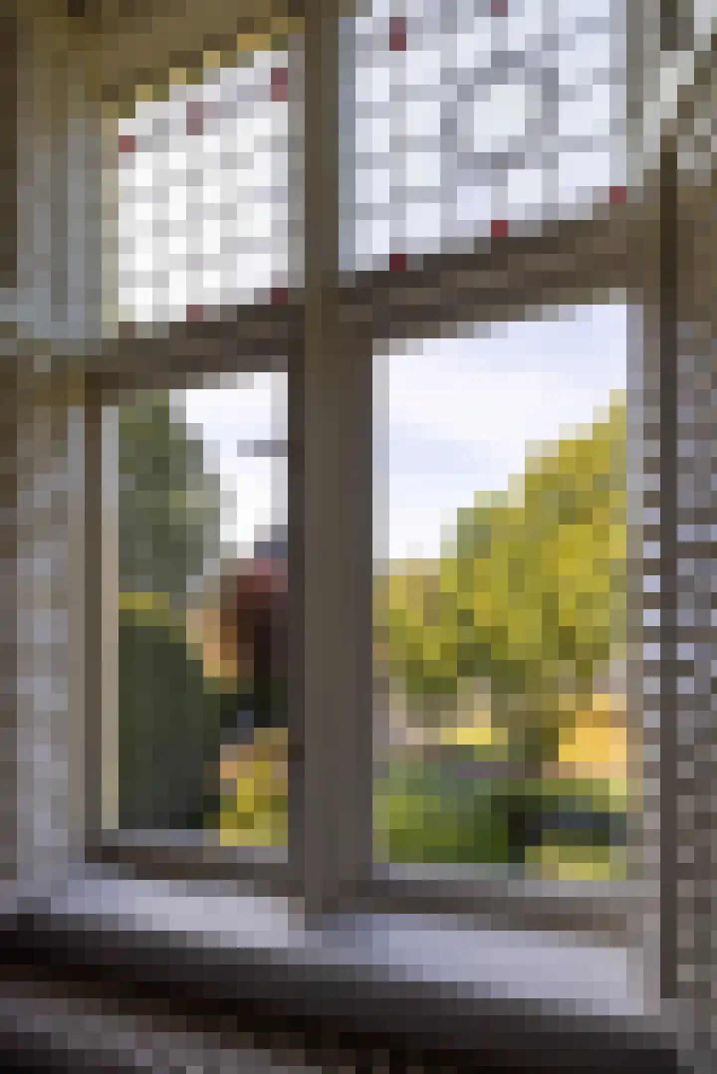 Linnaeuslaan 4 Haarlem thumbnail 45