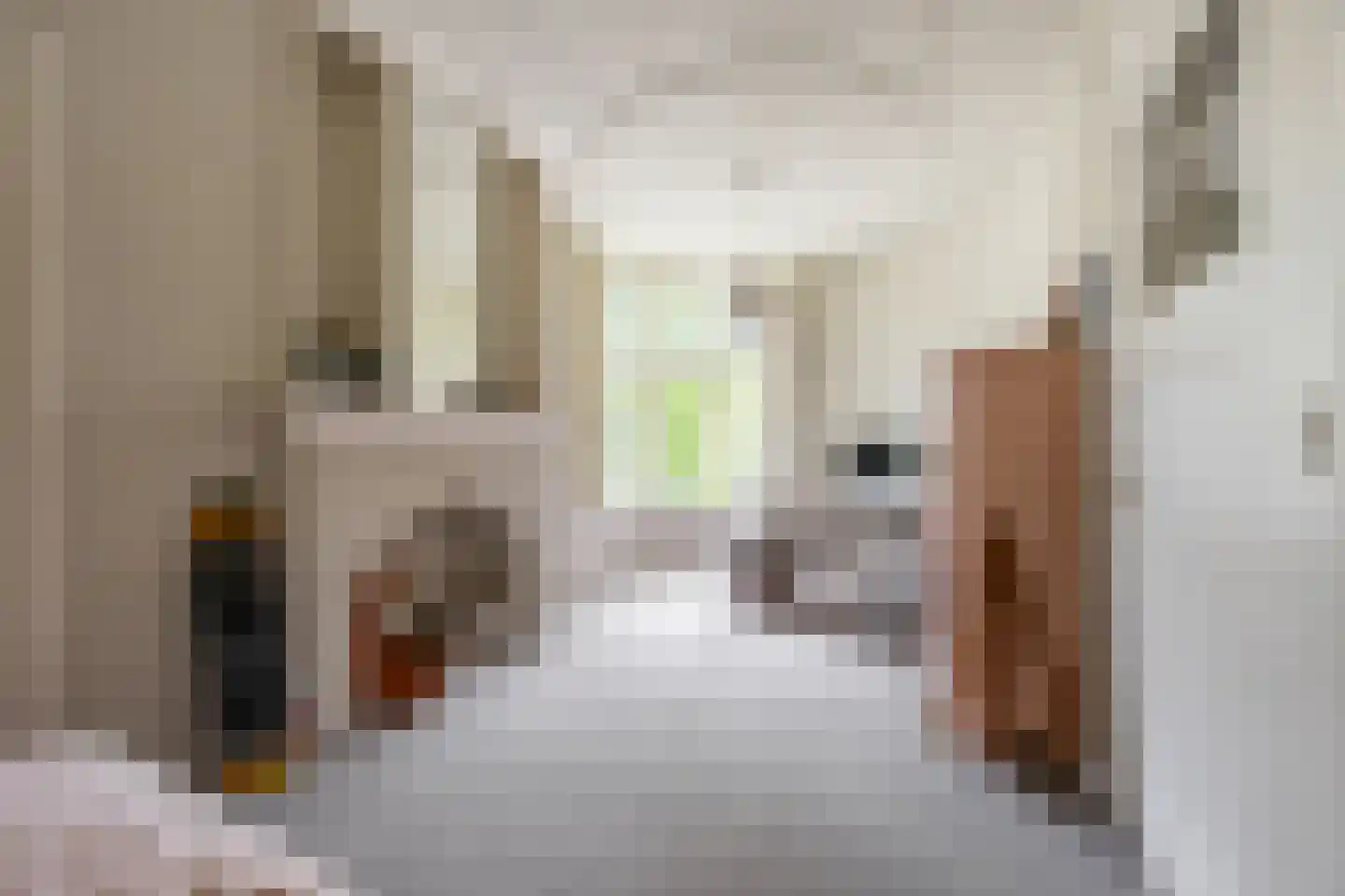 Linnaeuslaan 4 Haarlem thumbnail 50