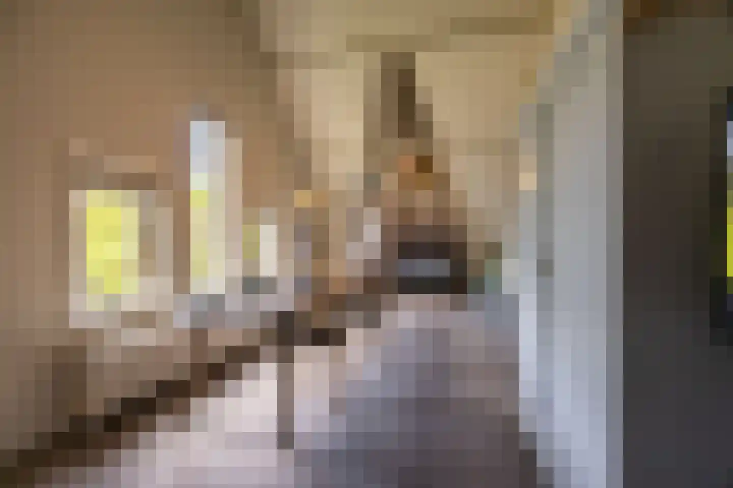 Linnaeuslaan 4 Haarlem thumbnail 53
