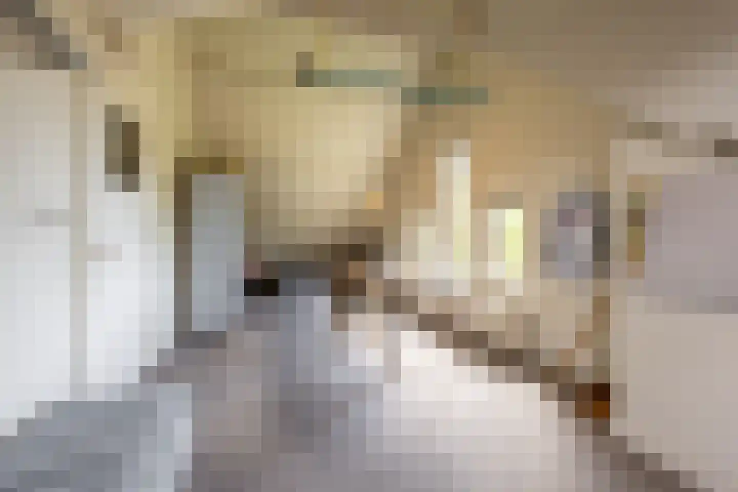 Linnaeuslaan 4 Haarlem thumbnail 54