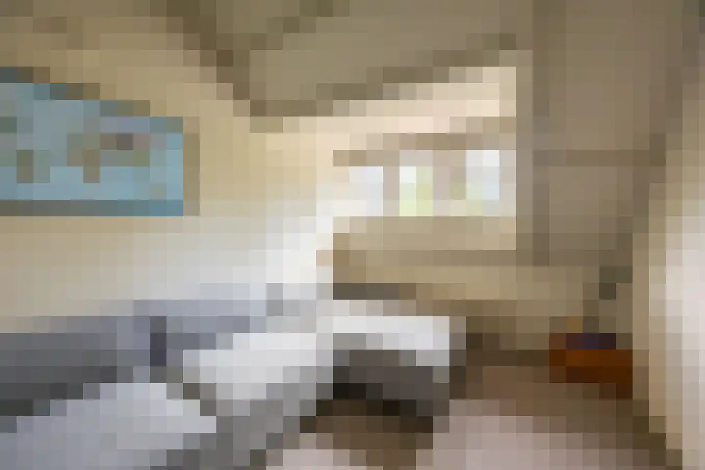 Linnaeuslaan 4 Haarlem thumbnail 55