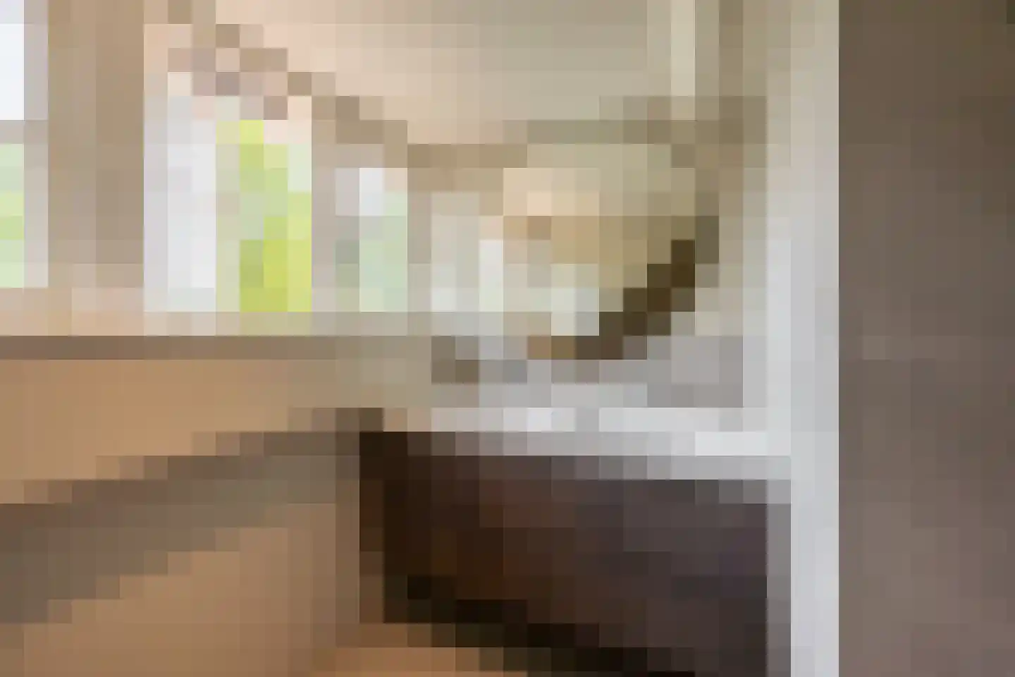 Linnaeuslaan 4 Haarlem thumbnail 58
