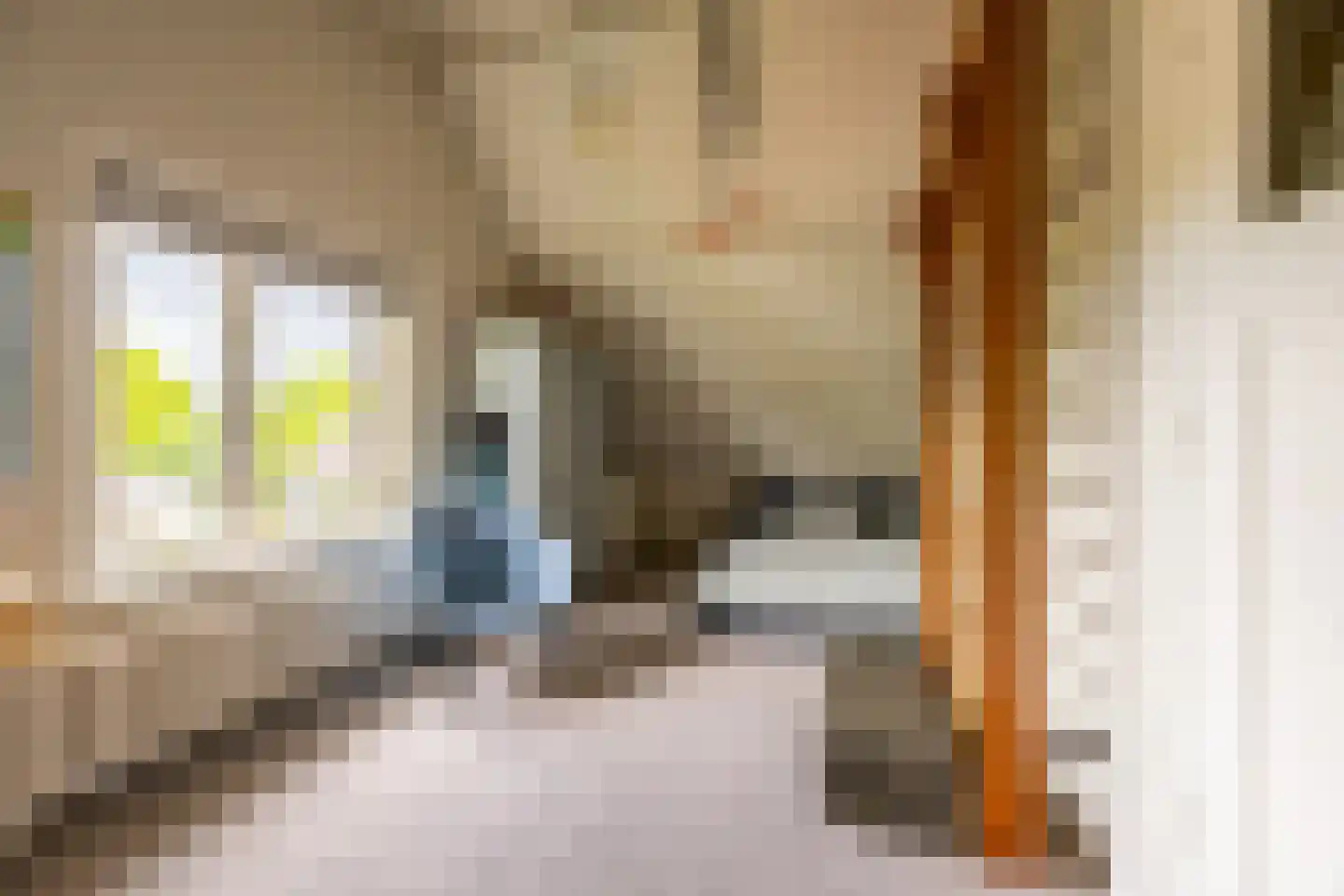 Linnaeuslaan 4 Haarlem thumbnail 59