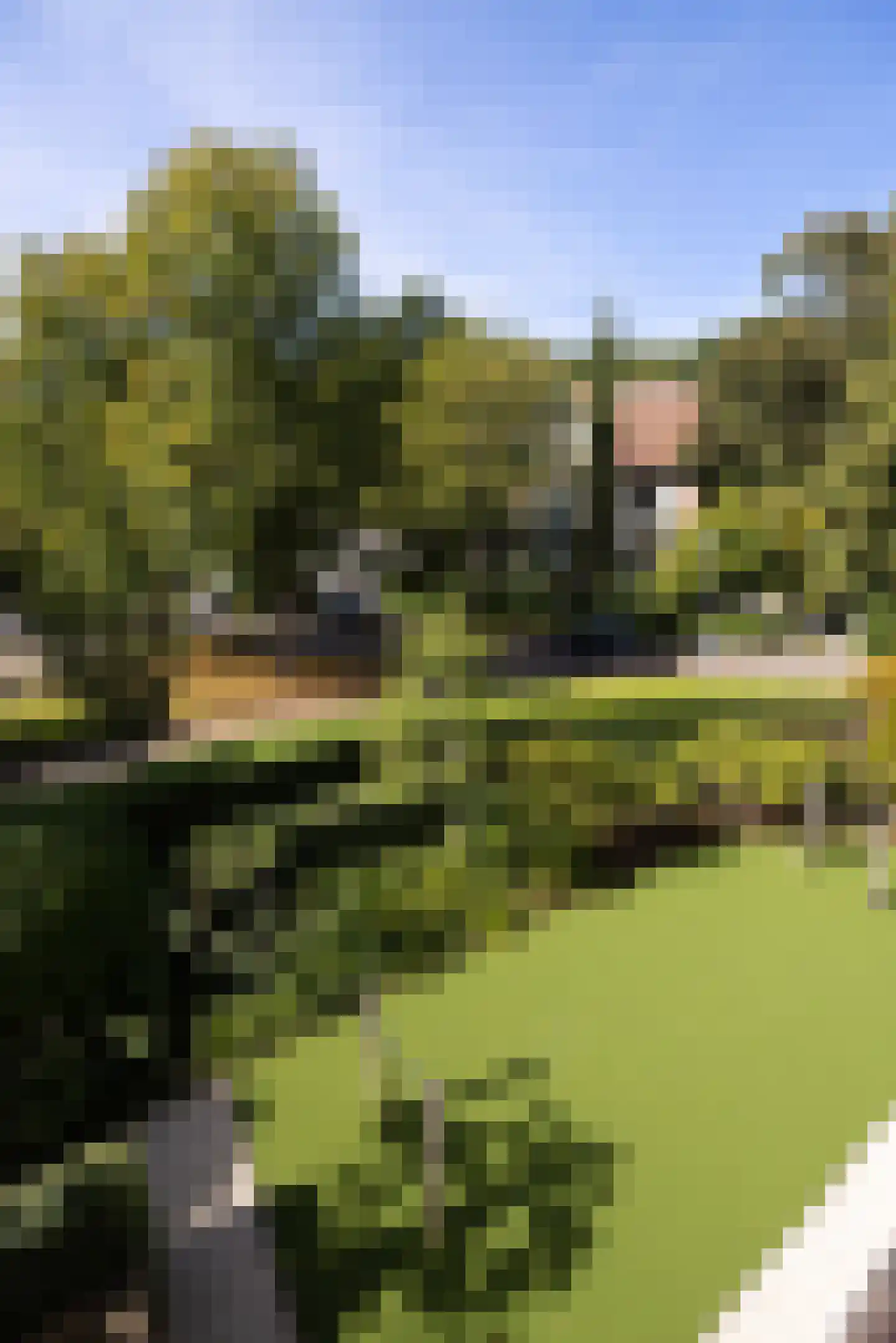 Linnaeuslaan 4 Haarlem thumbnail 61