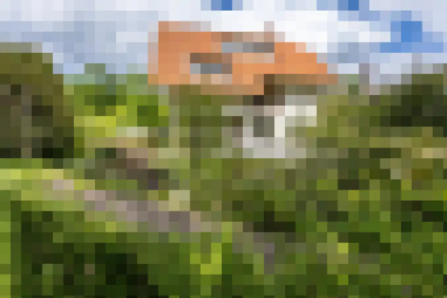 Linnaeuslaan 4 Haarlem thumbnail 62