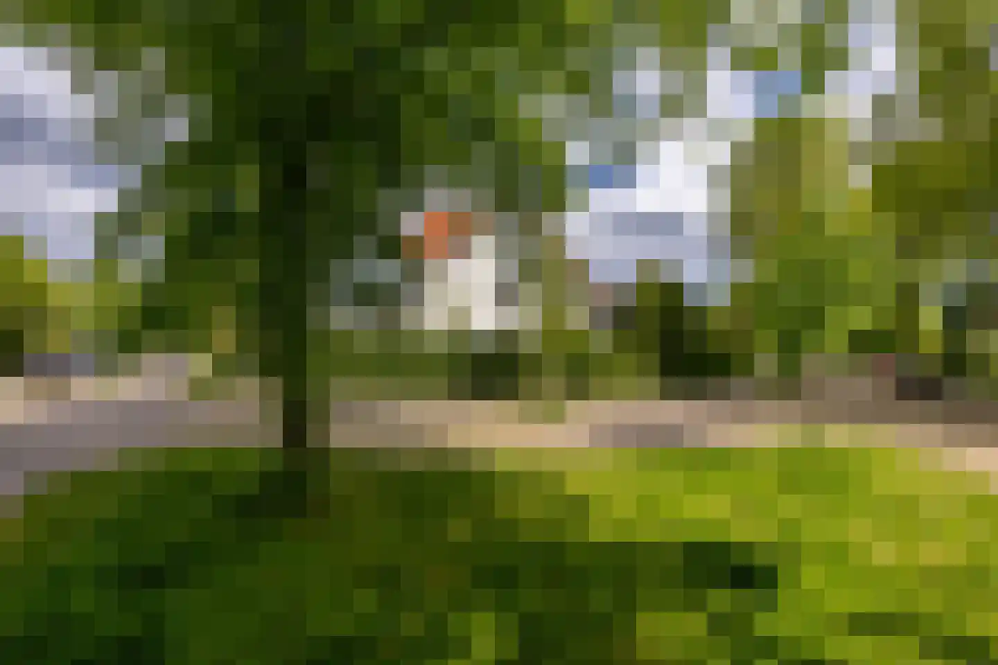 Linnaeuslaan 4 Haarlem thumbnail 63