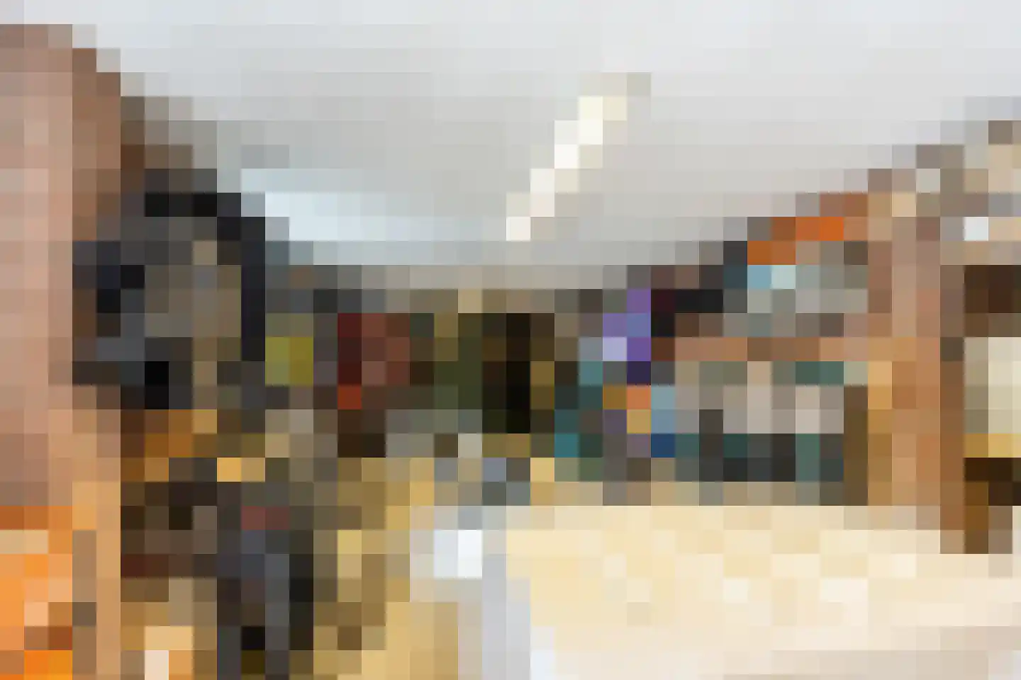 Linnaeuslaan 4 Haarlem thumbnail 66
