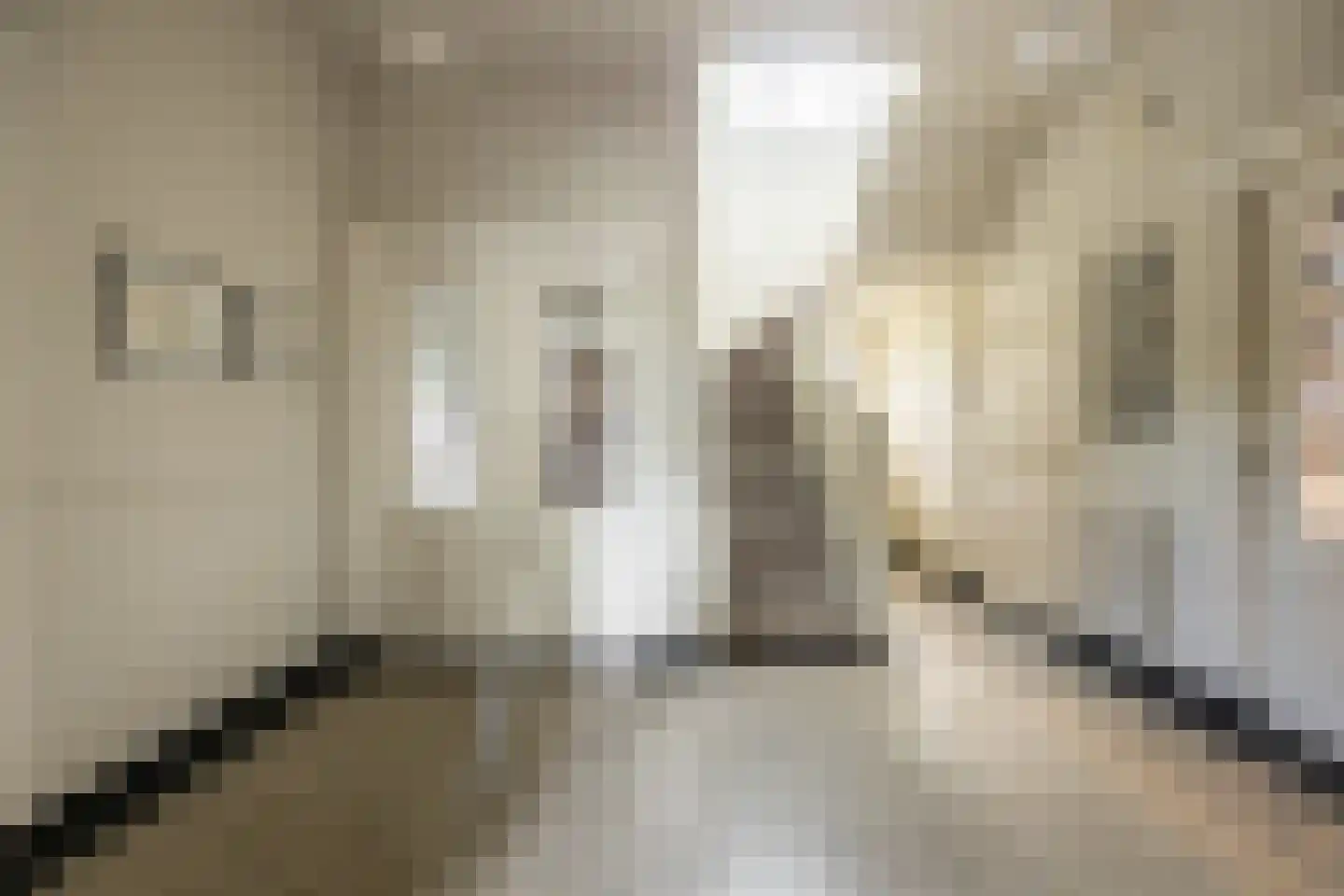 Linnaeuslaan 4 Haarlem thumbnail 7