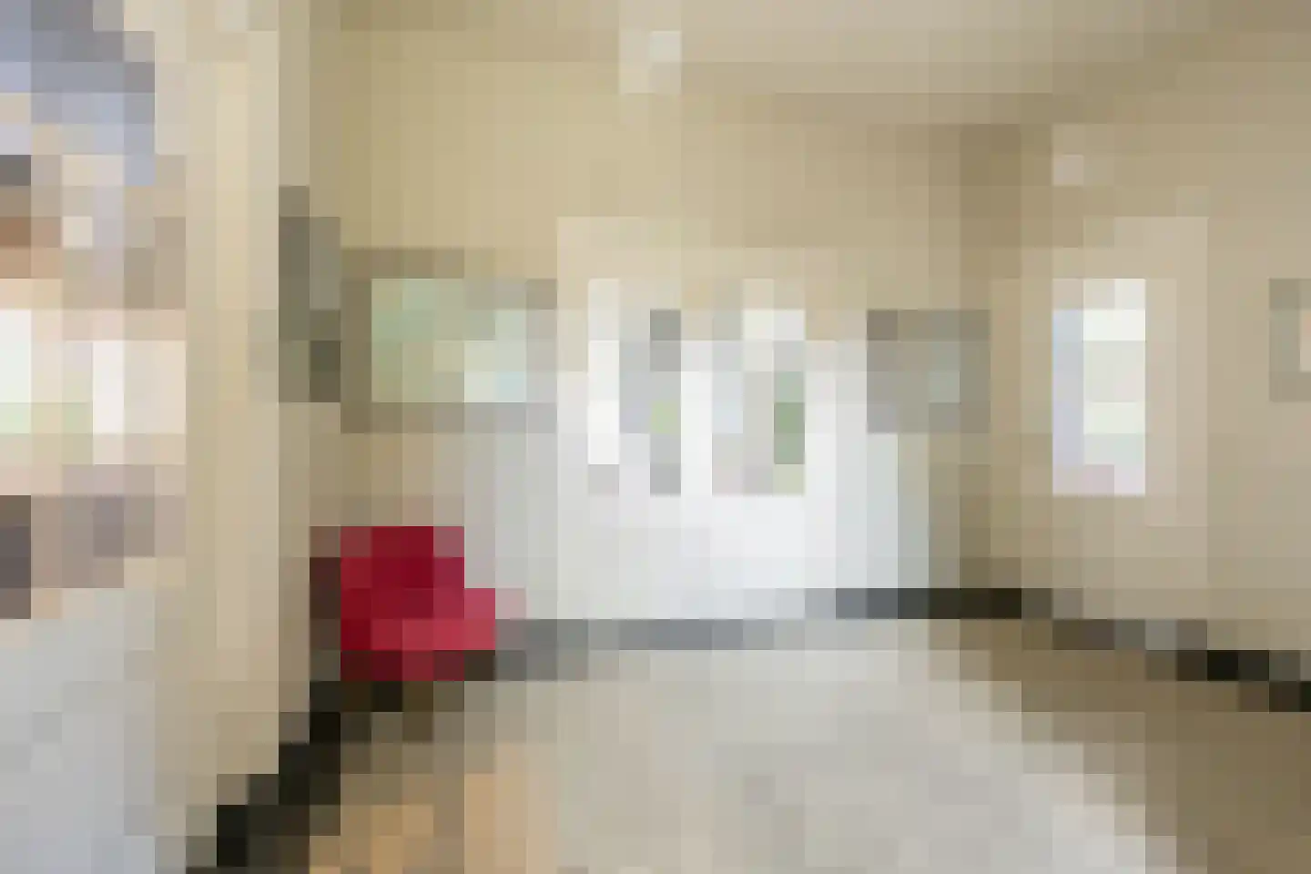 Linnaeuslaan 4 Haarlem thumbnail 8