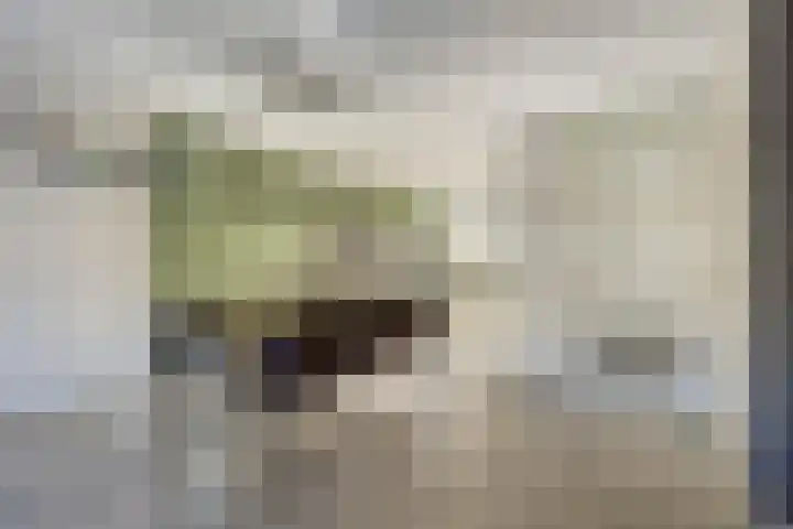 Linnaeuslaan 47 Veenendaal thumbnail 11