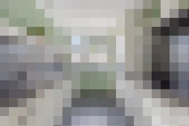 Linnaeuslaan 47 Veenendaal thumbnail 12