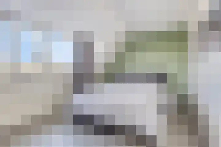 Linnaeuslaan 47 Veenendaal thumbnail 16