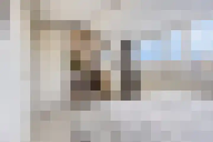Linnaeuslaan 47 Veenendaal thumbnail 17