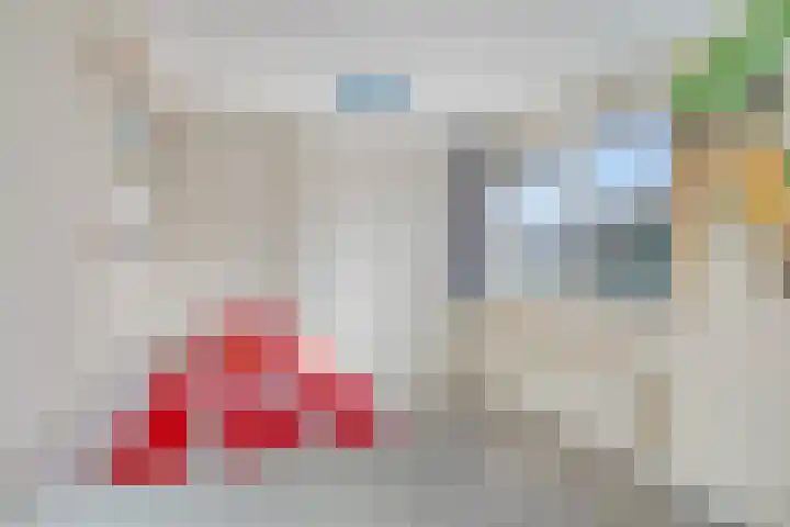 Linnaeuslaan 47 Veenendaal thumbnail 20