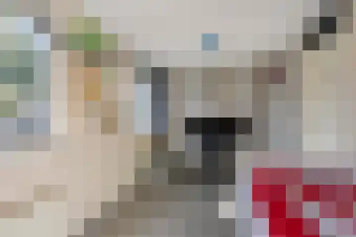 Linnaeuslaan 47 Veenendaal thumbnail 21