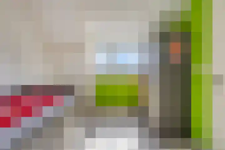 Linnaeuslaan 47 Veenendaal thumbnail 22