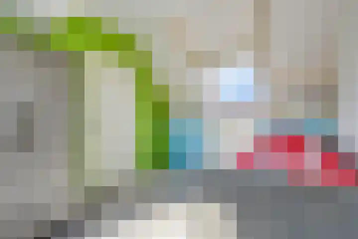 Linnaeuslaan 47 Veenendaal thumbnail 23