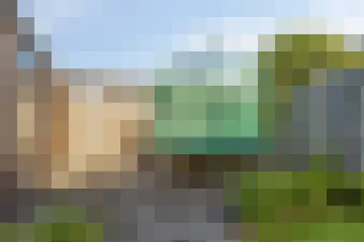 Linnaeuslaan 47 Veenendaal thumbnail 25
