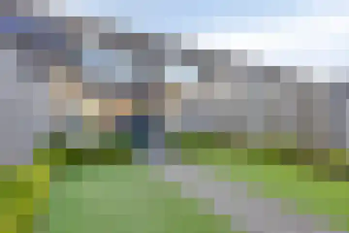 Linnaeuslaan 47 Veenendaal thumbnail 26
