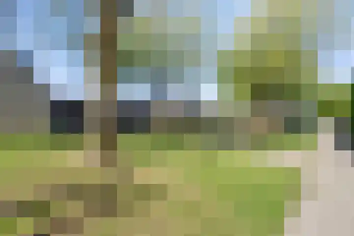 Linnaeuslaan 47 Veenendaal thumbnail 29