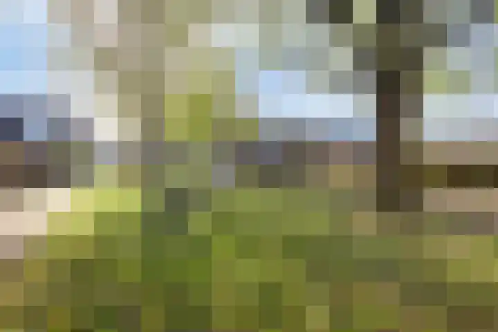 Linnaeuslaan 47 Veenendaal thumbnail 30