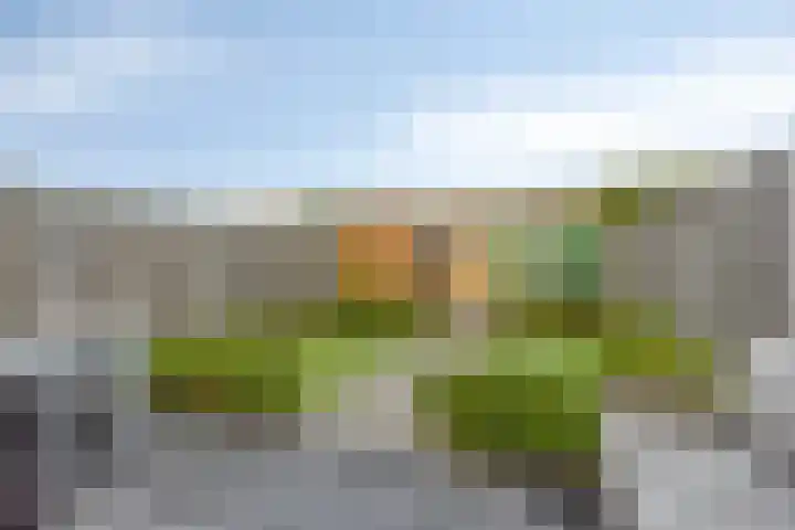 Linnaeuslaan 47 Veenendaal thumbnail 4