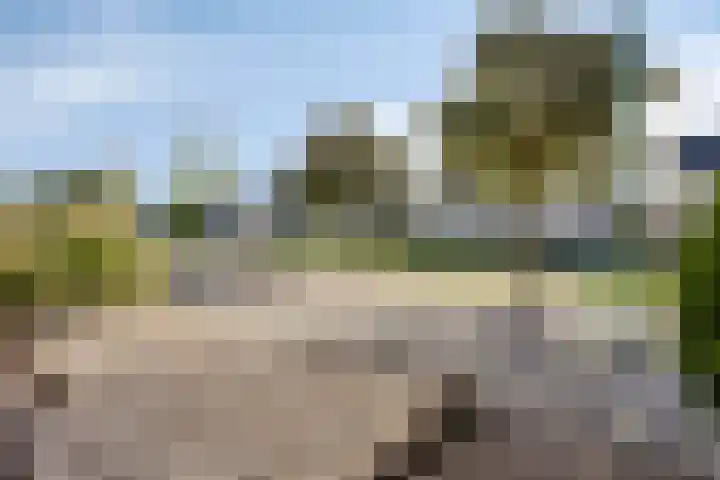 Linnaeuslaan 47 Veenendaal thumbnail 7