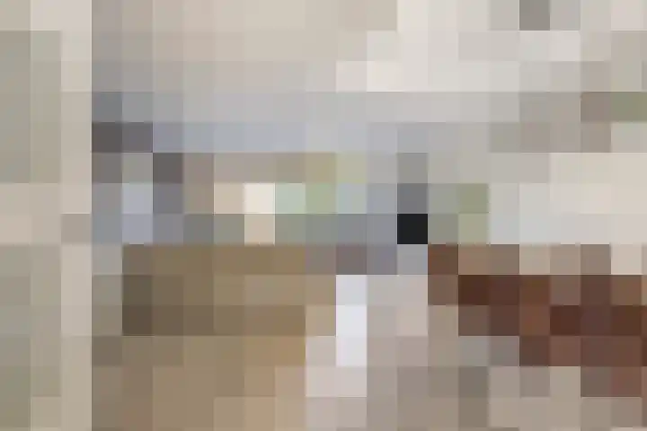 Linnaeuslaan 47 Veenendaal thumbnail 8