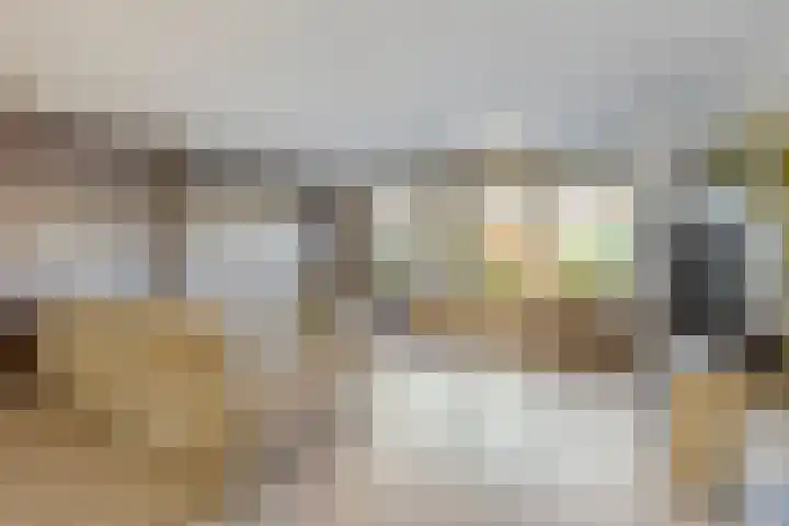 Linnaeuslaan 47 Veenendaal thumbnail 9