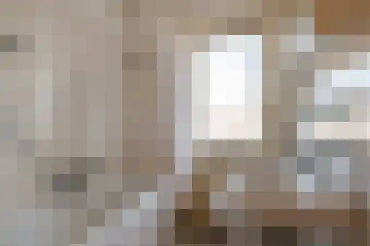 Linnaeuslaan 5 Utrecht thumbnail 11